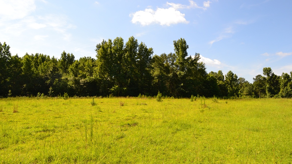 Little Long Creek Farm Photo