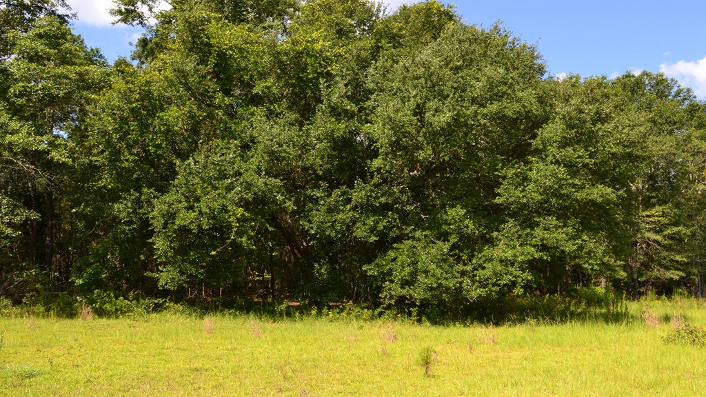Little Long Creek Farm Photo