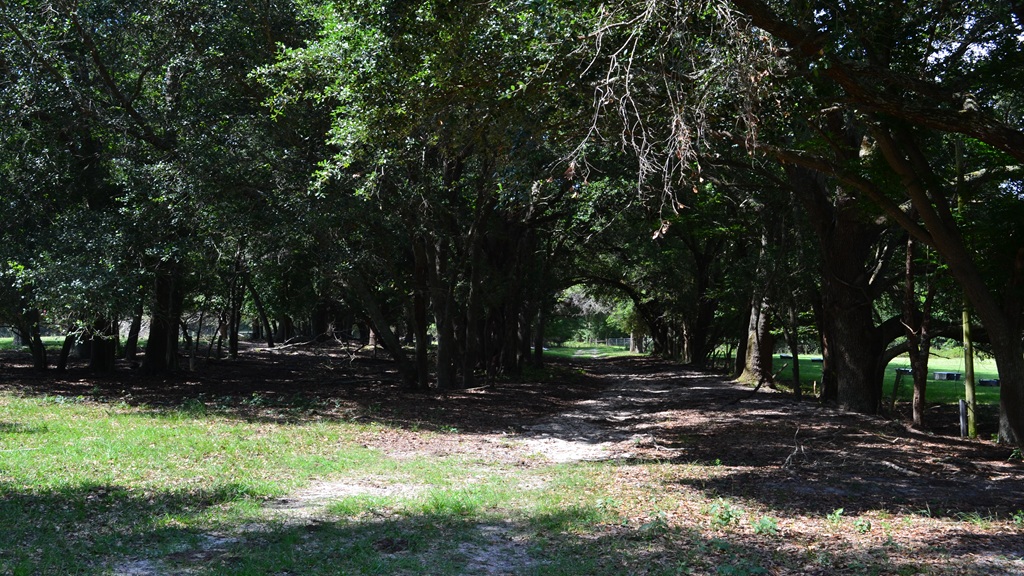 Little Long Creek Farm Photo