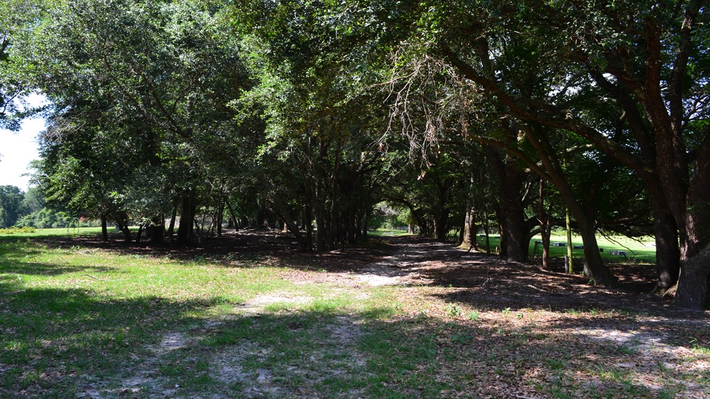 Little Long Creek Farm Photo
