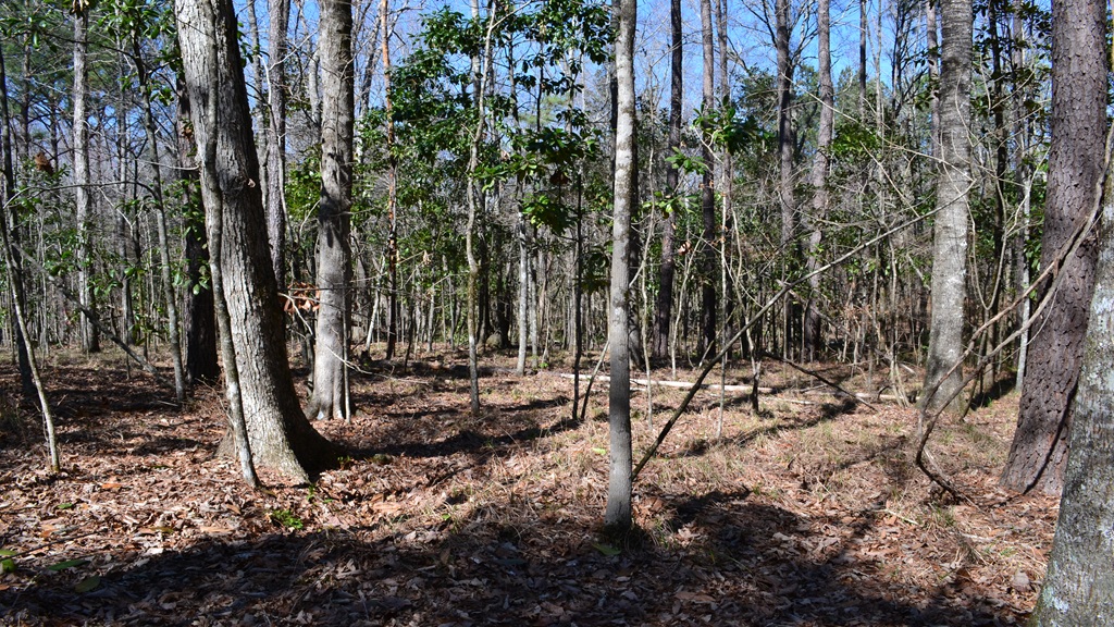 Bluewater Ridge Photo