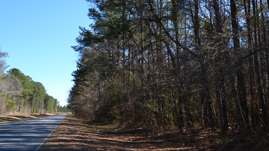Bluewater Ridge Photo