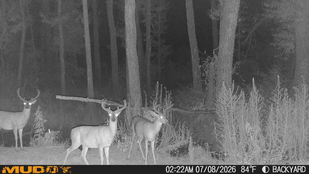 Lotts Creek Lodge Photo
