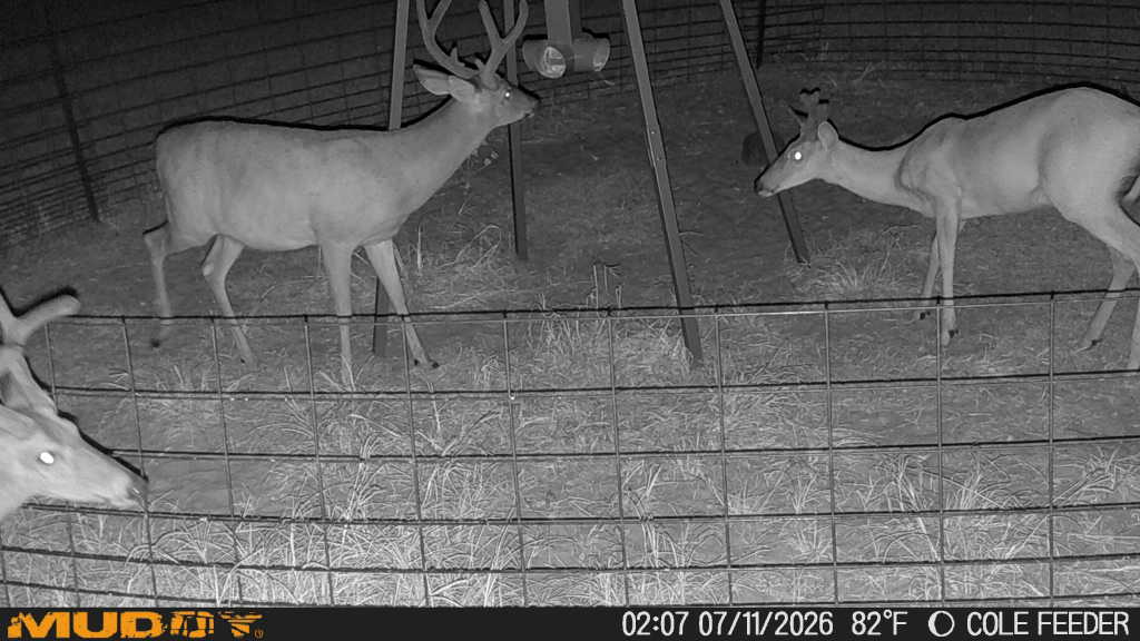 Lotts Creek Lodge Photo