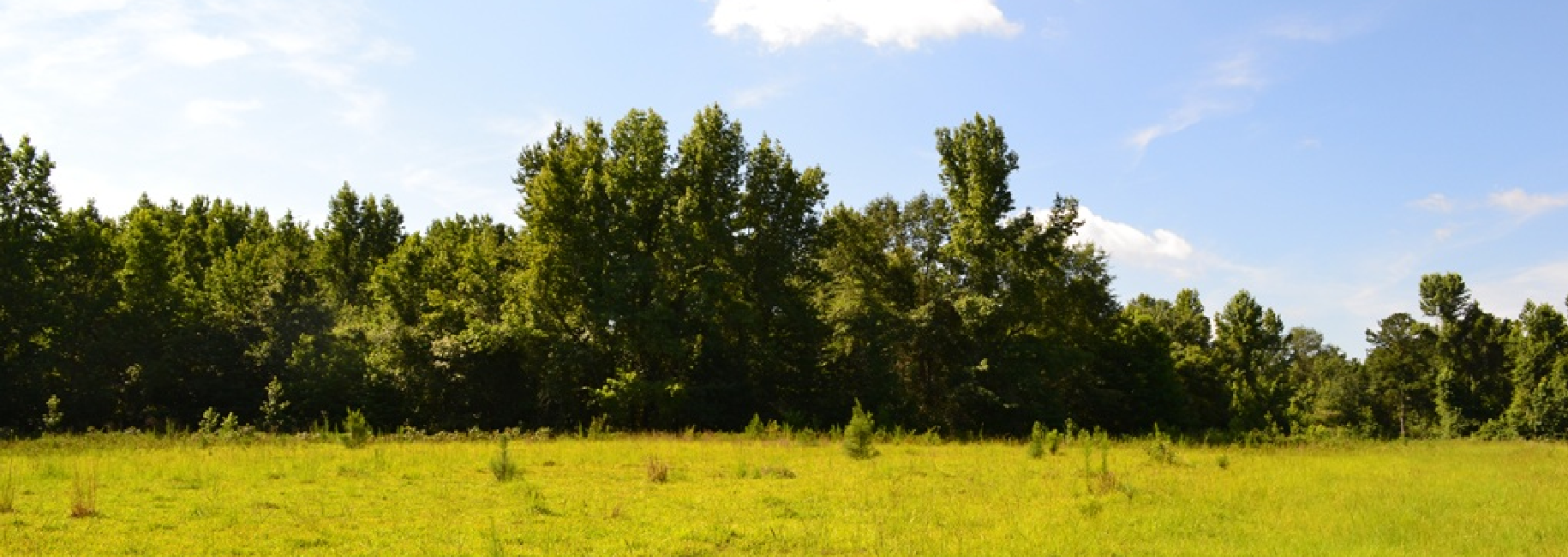 Little Long Creek Farm Main Photo