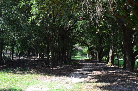 Little Long Creek Farm