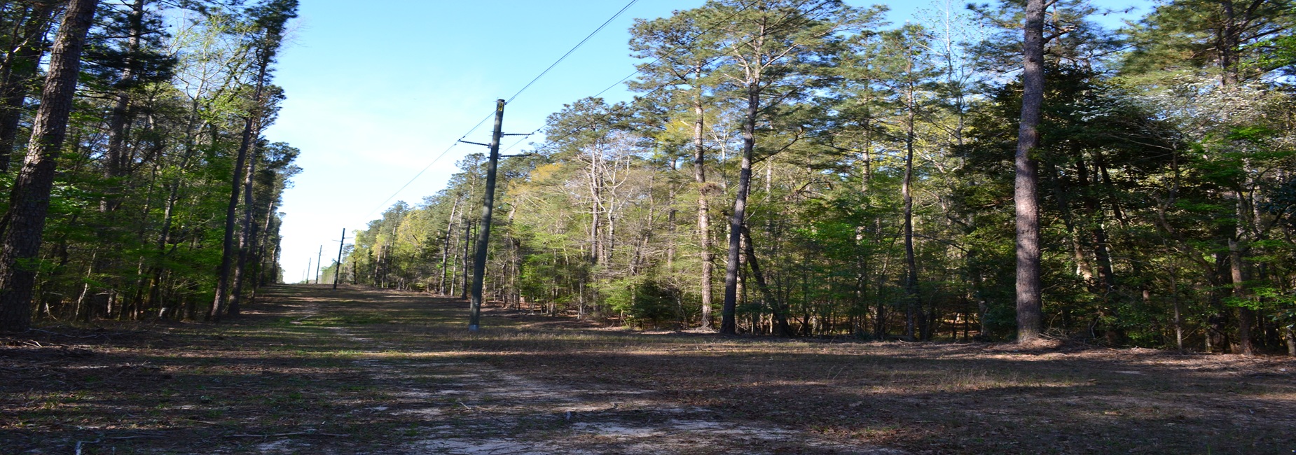Bluewater Ridge Main Photo