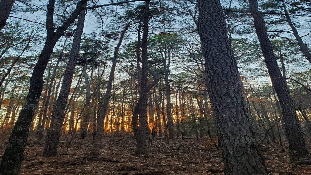 Bluewater Ridge Photo