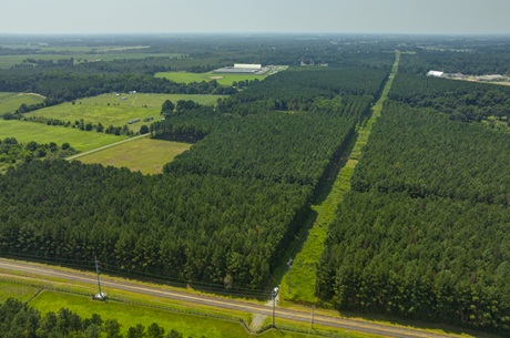 Countyline Road