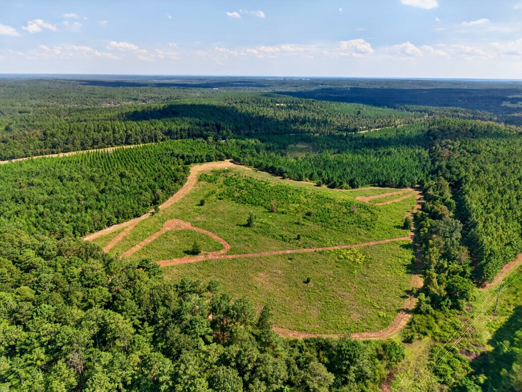 Fall Line Longleaf & Home Photo