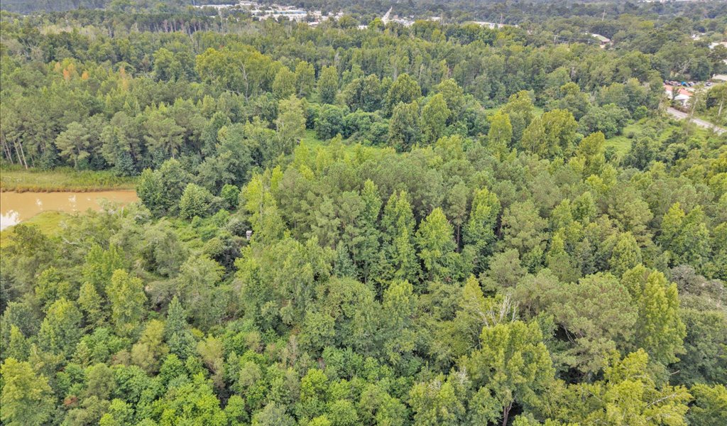 Rocky Creek Preserve Photo