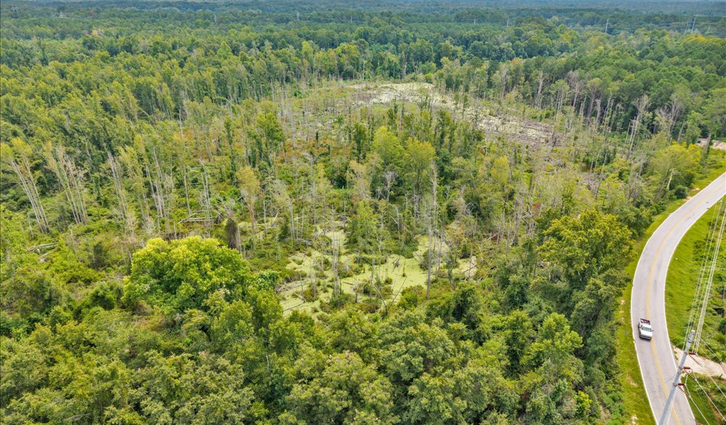 Rocky Creek Preserve Photo