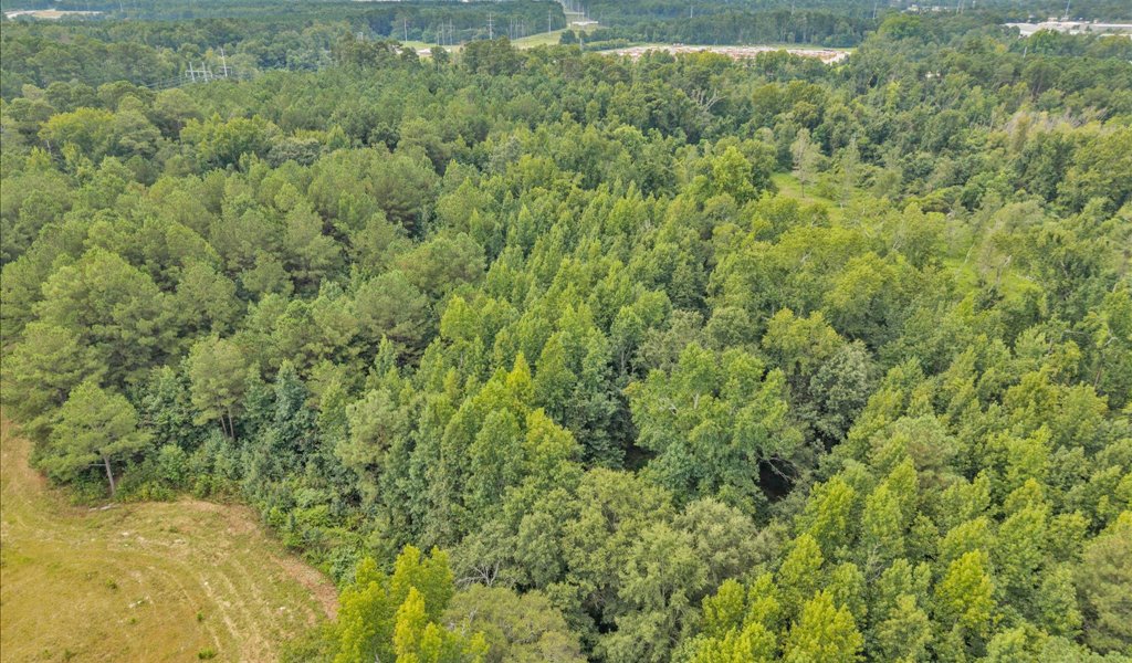 Rocky Creek Preserve Photo