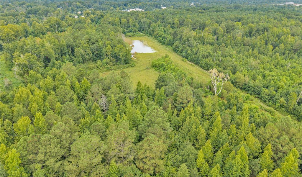 Rocky Creek Preserve Photo