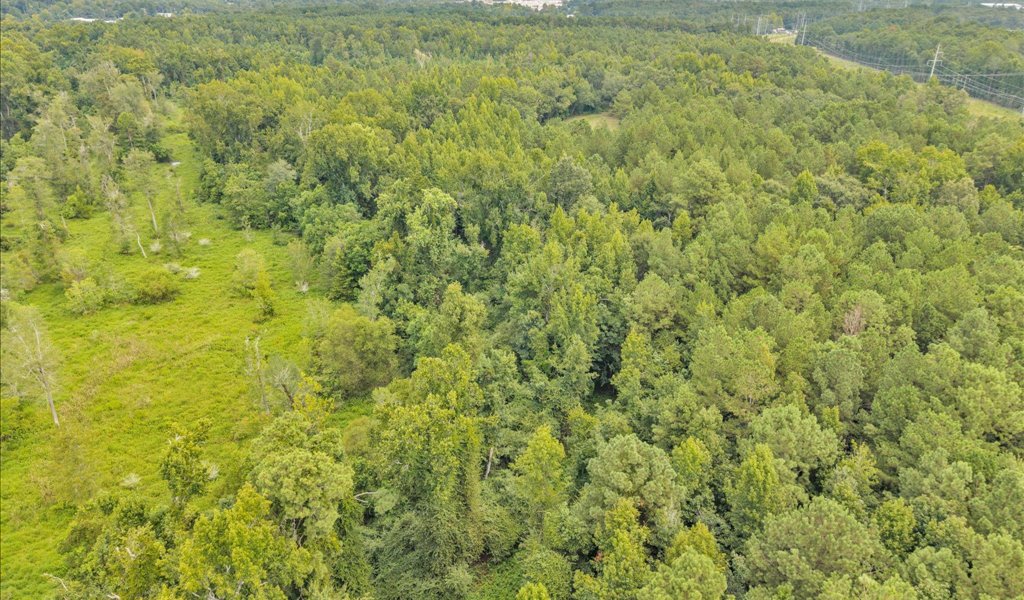 Rocky Creek Preserve Photo