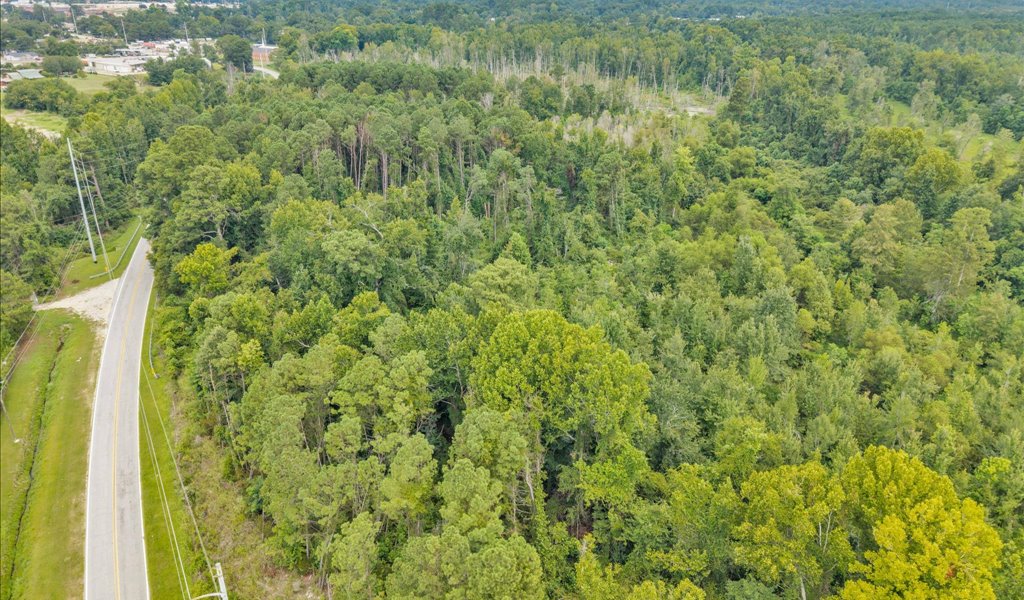 Rocky Creek Preserve Photo