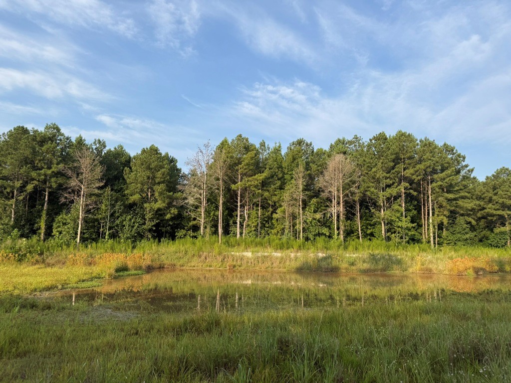 Rocky Creek Preserve Photo