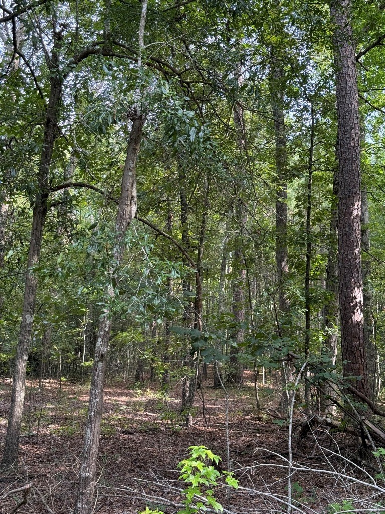 Liberty Church Road Retreat Photo