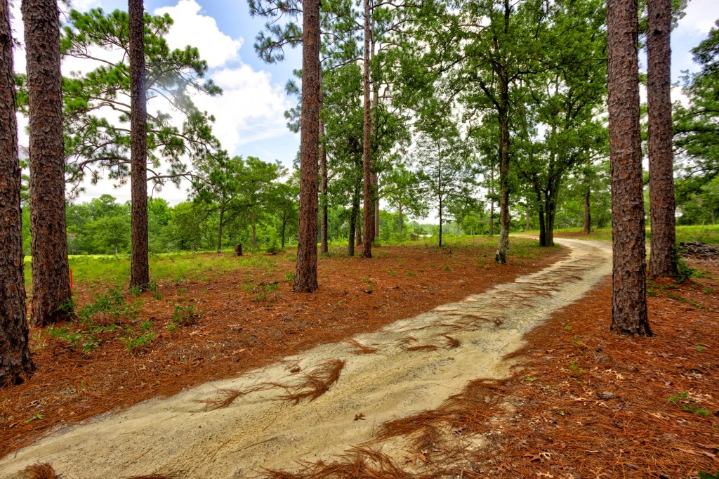 Big Oak Homeplace Photo