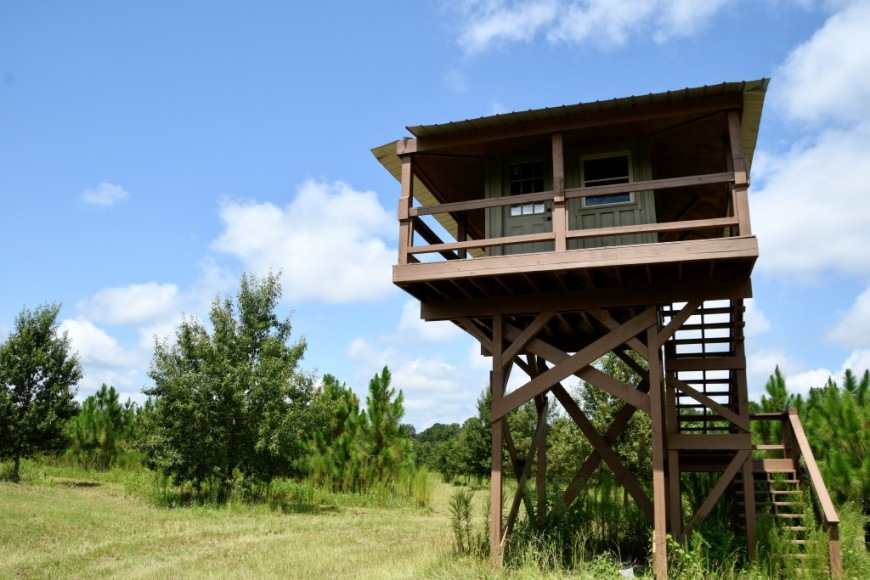 Long Piney Preserve Photo
