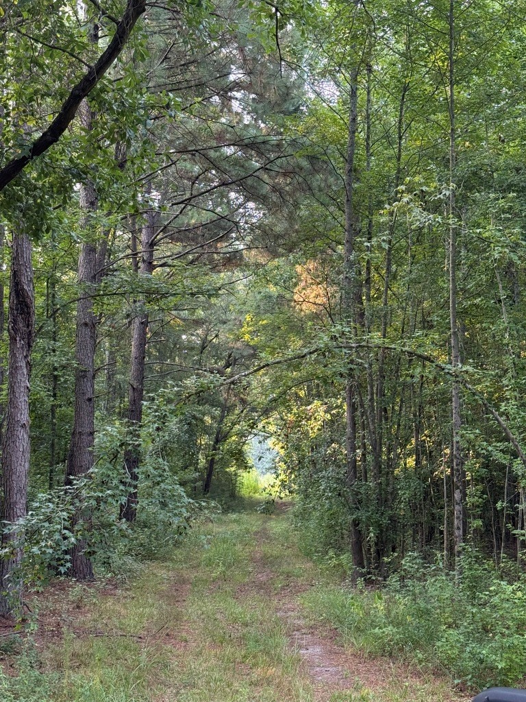 Rocky Creek Preserve Photo