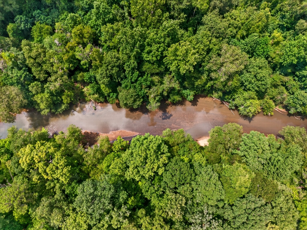 Towaliga River Tract Photo