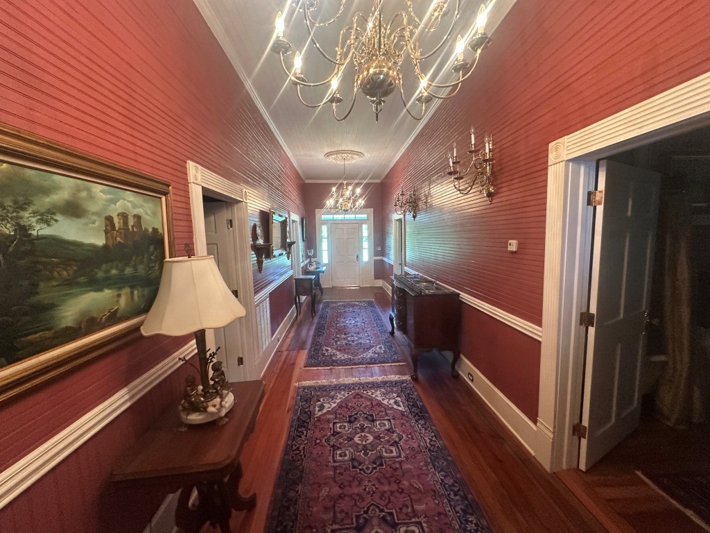 Cottontop Plantation Photo