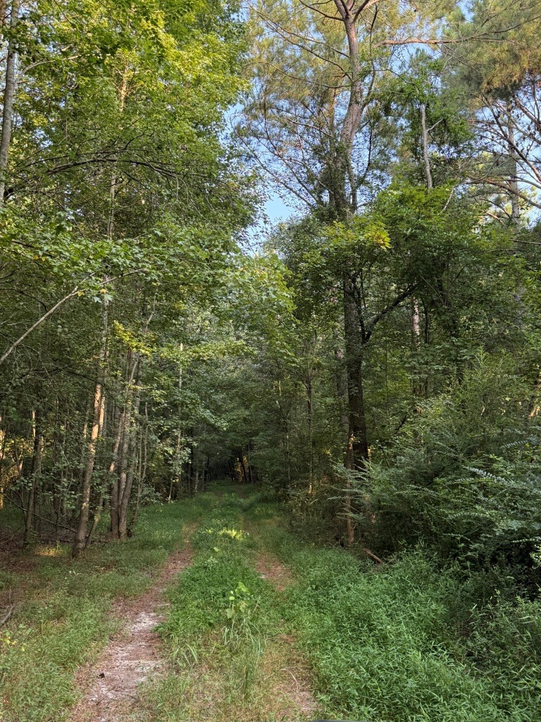Rocky Creek Preserve Photo