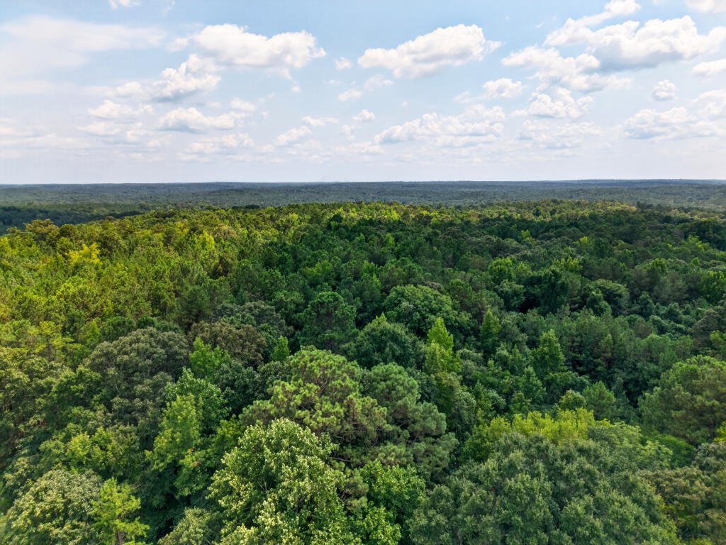 Towaliga River Tract Photo