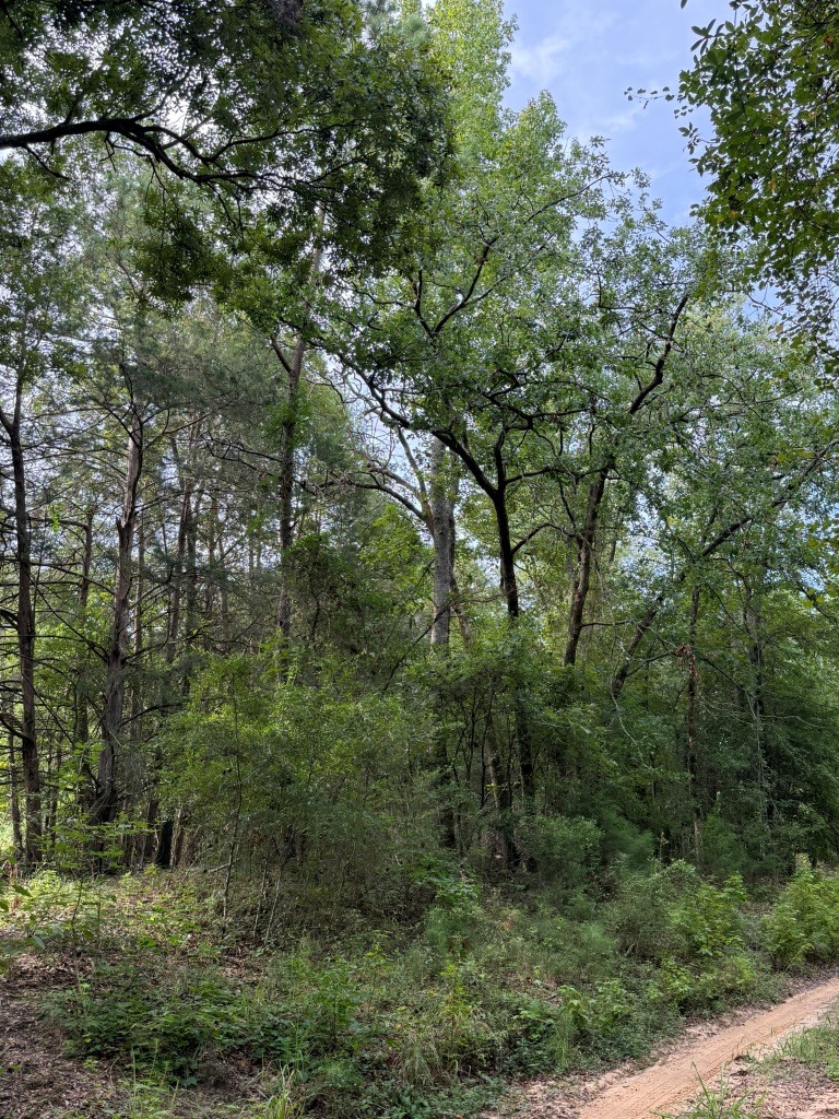 Liberty Church Road Retreat Photo