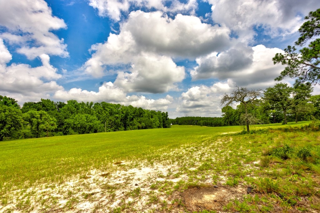 Big Oak Homeplace Photo