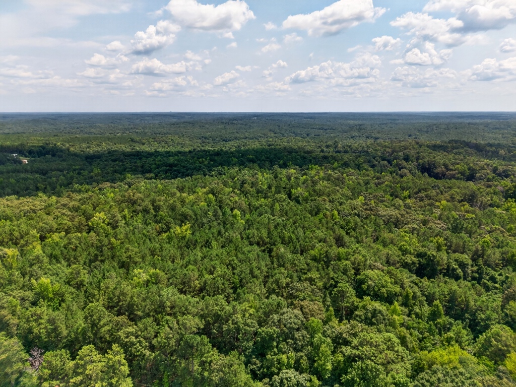 Towaliga River Tract Photo