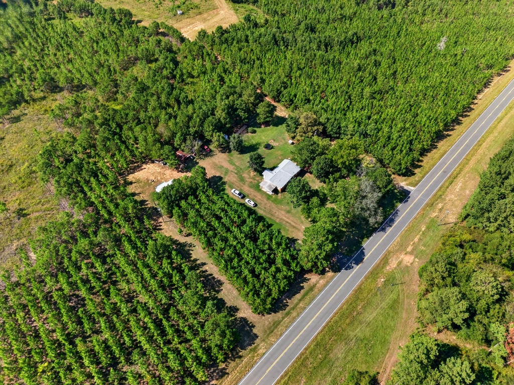 Fall Line Longleaf & Home Photo