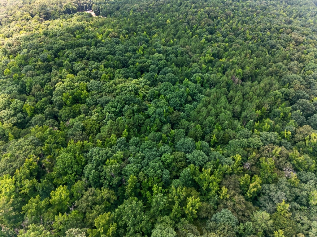 Towaliga River Tract Photo