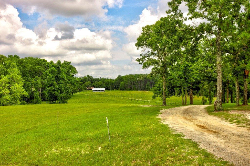 Big Oak Homeplace Photo