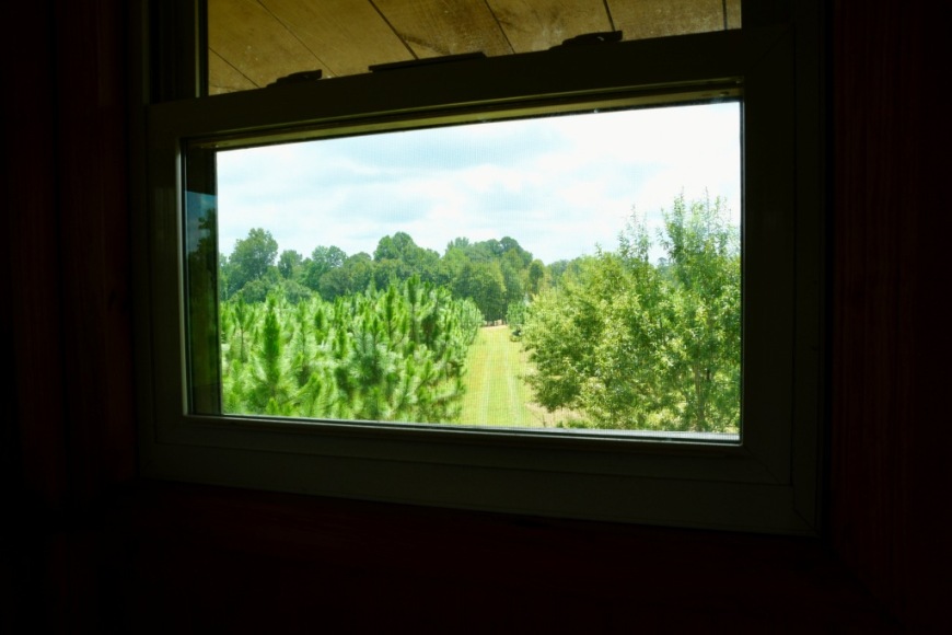 Long Piney Preserve Photo