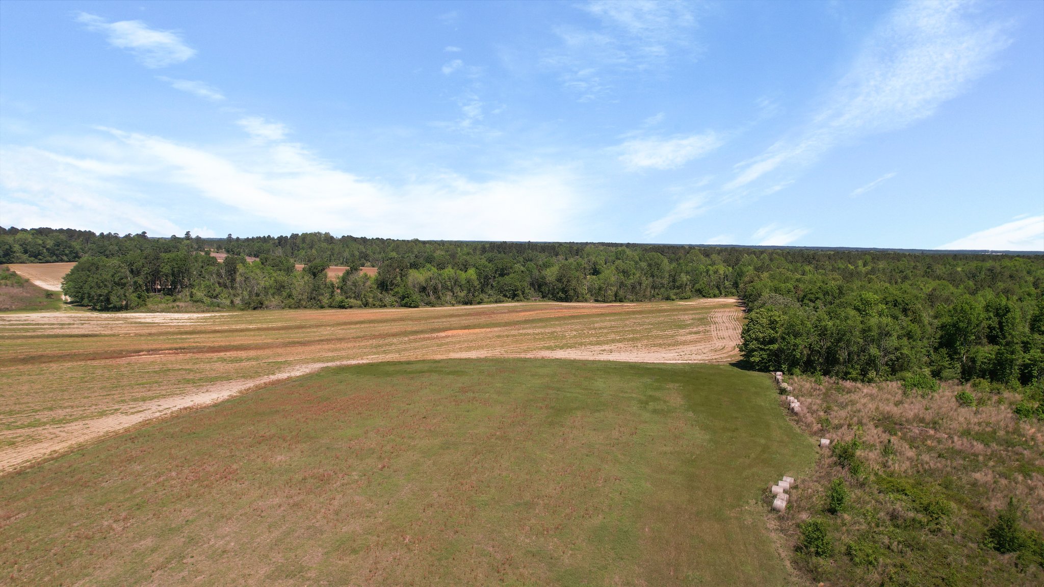 Middleground Road Photo