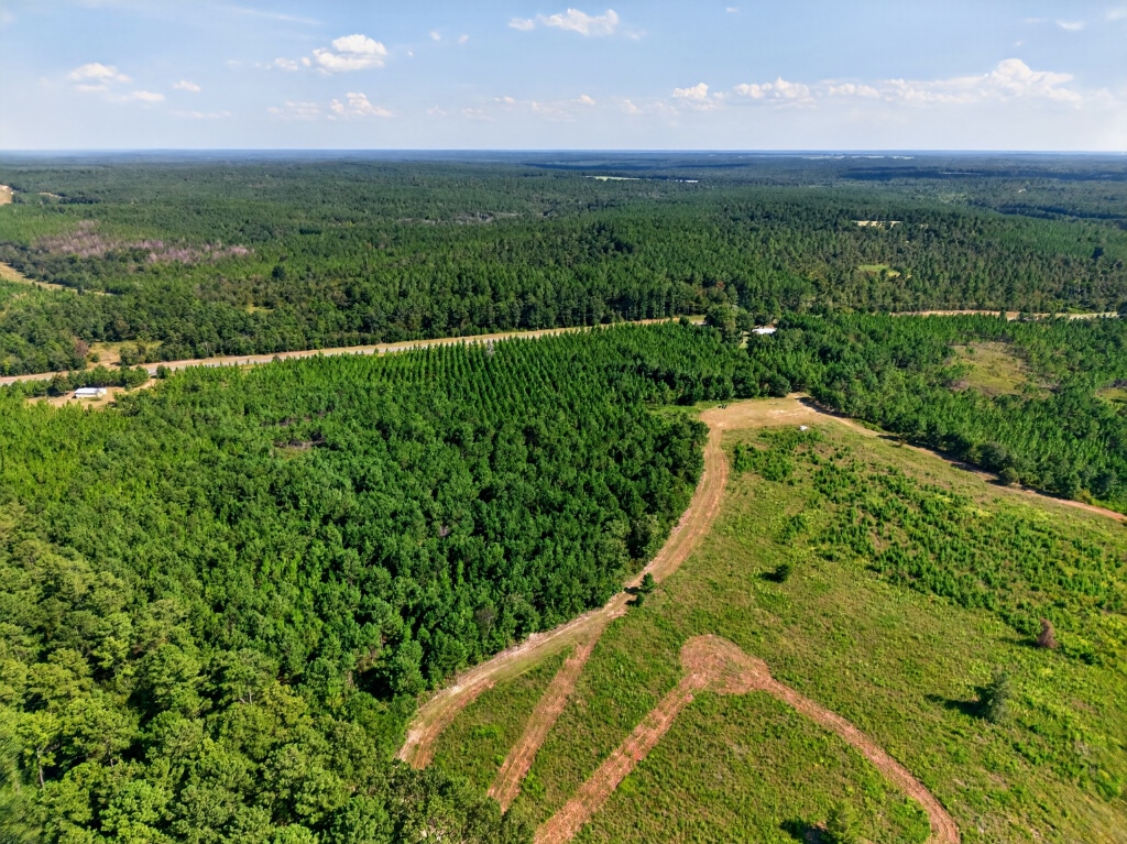Fall Line Longleaf & Home Photo