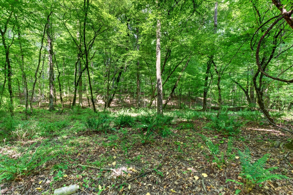 Towaliga River Tract Photo