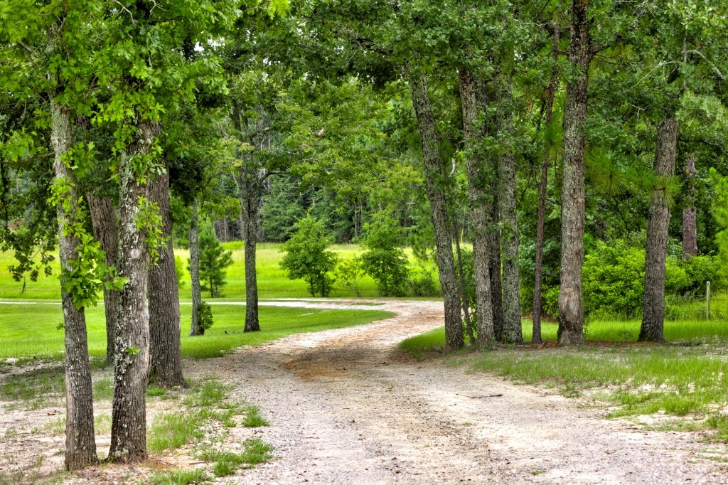Big Oak Homeplace Photo