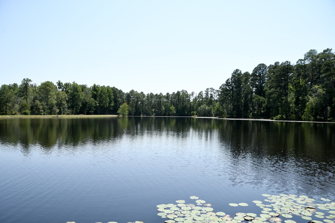 Water’s Edge Retreat Photo