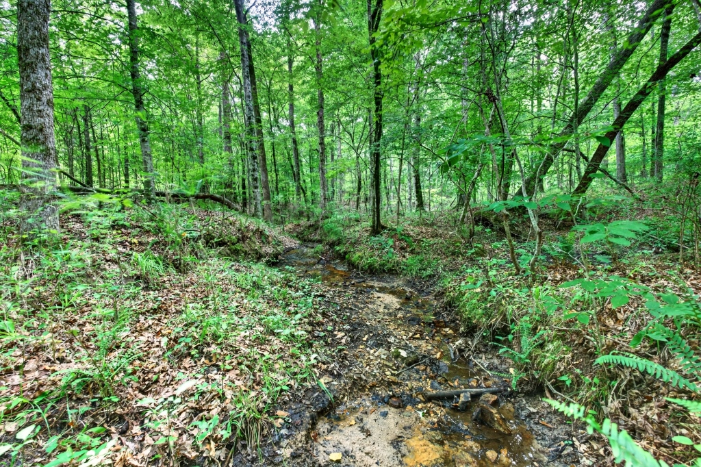 Towaliga River Tract Photo