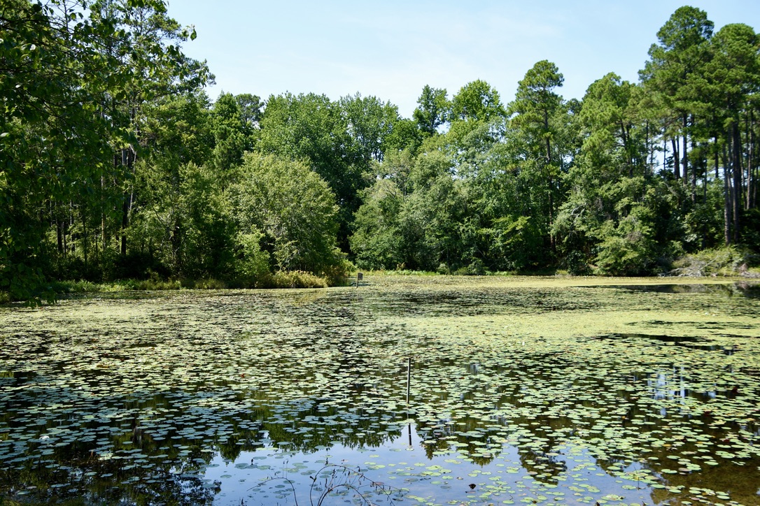 Water’s Edge Retreat Photo