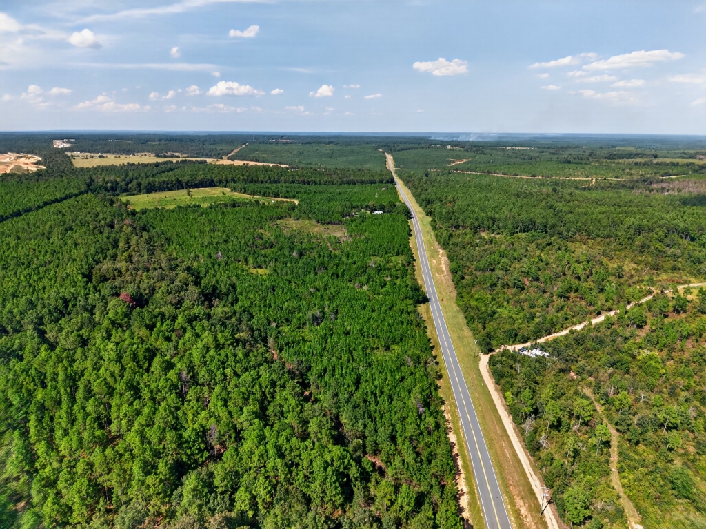 Fall Line Longleaf & Home Photo