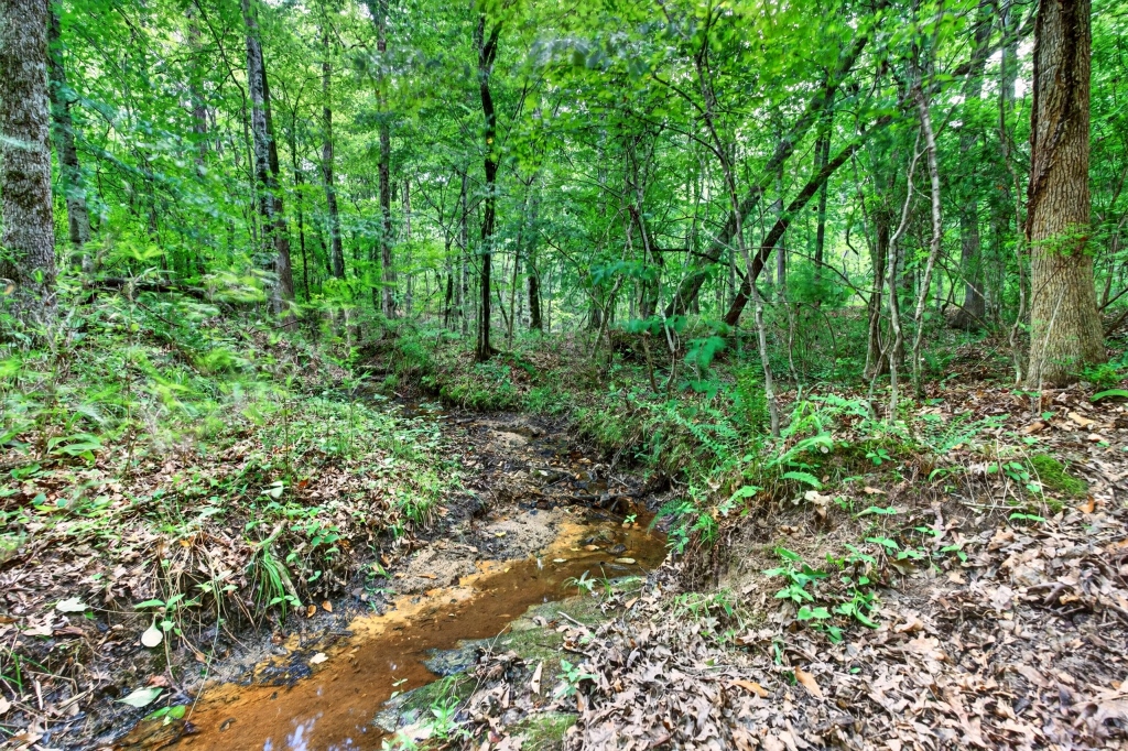 Towaliga River Tract Photo