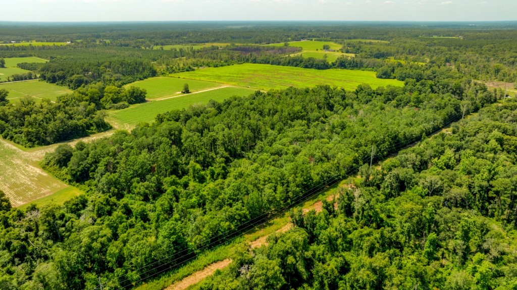 Reedy Creek Homeplace Photo