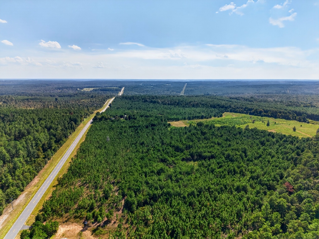 Fall Line Longleaf & Home Photo