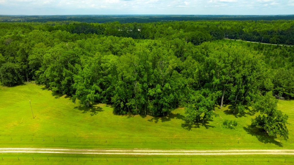 Big Oak Homeplace Photo