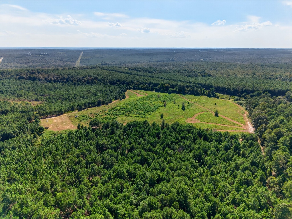 Fall Line Longleaf & Home Photo