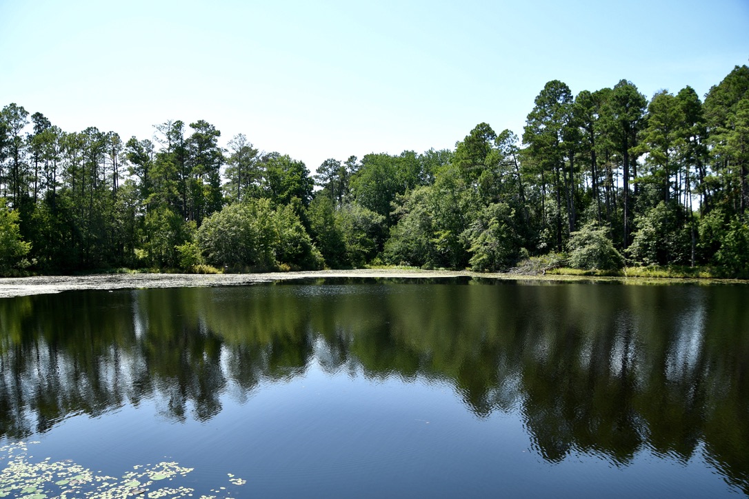 Water’s Edge Retreat Photo